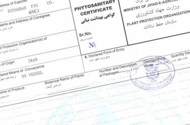Foreign Phytosanitary Certificate
